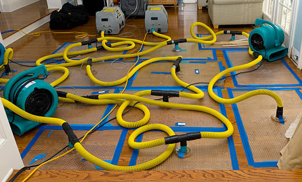 Professional Basement Flood Cleanup technician working in New Salem, MA